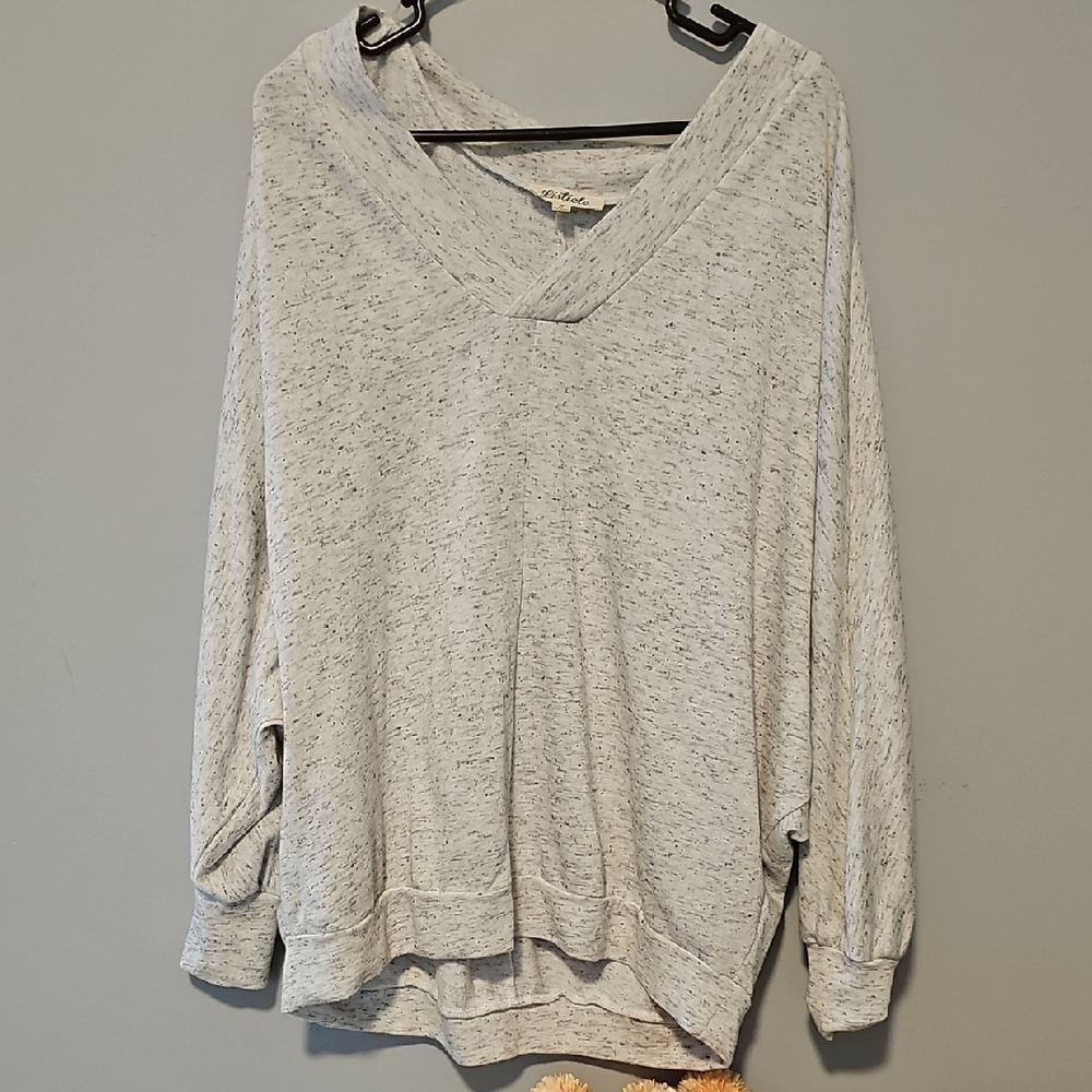 Gray V-Neck Sweater/sweatshirt